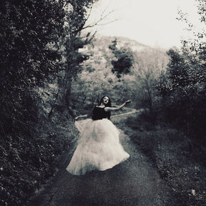 Road with trees in background