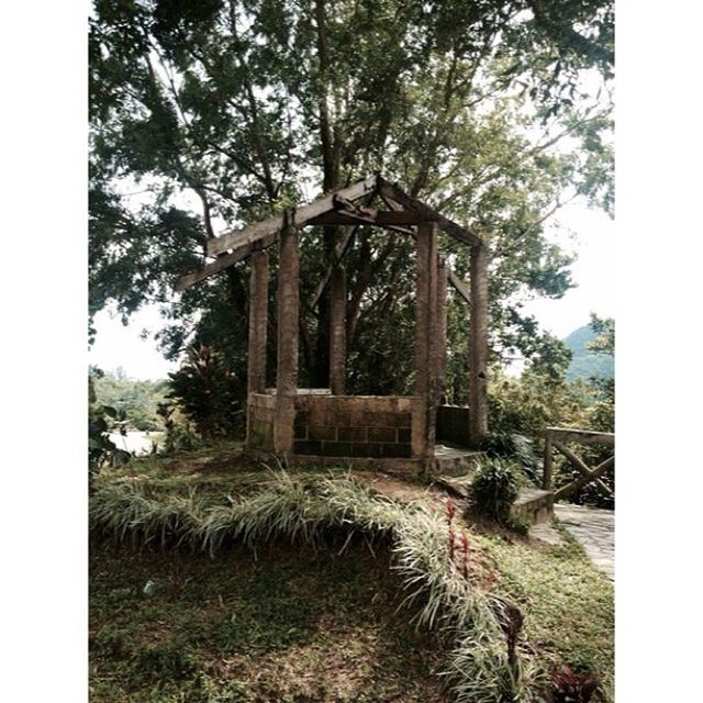 transfer print, built structure, field, architecture, tree, building exterior, auto post production filter, growth, grass, house, plant, rural scene, abandoned, sky, day, old, no people, agriculture, outdoors, nature