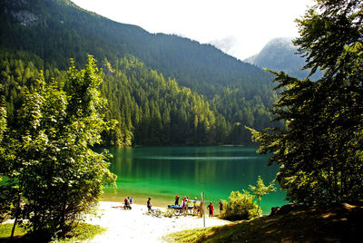 Scenic view of lake in forest