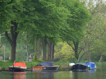 Boats moored on river amidst trees