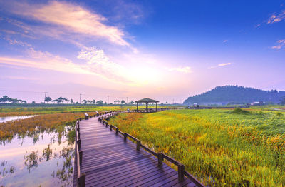 View of footparth surrounded by red suaeda japonica at salt plant garden of taepyeong salt farm