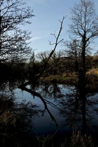 Reflection of silhouette trees in lake against sky