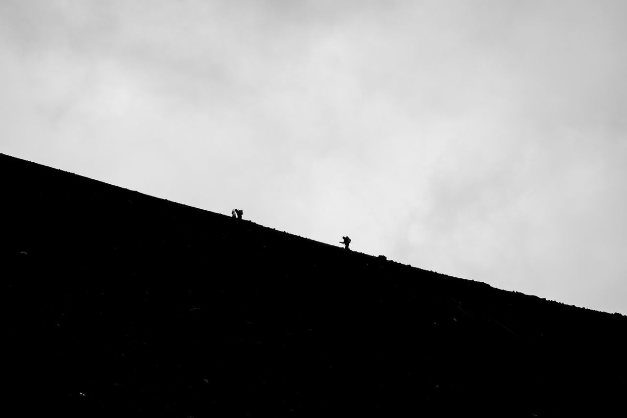 LOW ANGLE VIEW OF SILHOUETTE HORSE ON LAND