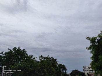 Low angle view of trees and buildings against sky