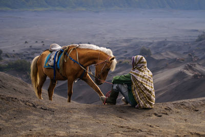 Unidentified horse rider with his horse near mt.bromo in early morning.