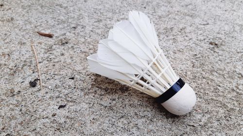 High angle view of umbrella on sand