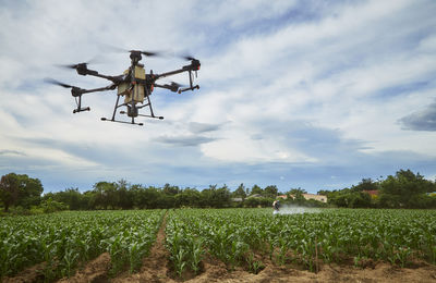 Agricultural field against sky