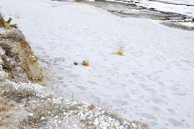 High angle view of shore at beach