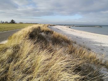 Scenic view of beach against sky