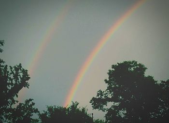 Low angle view of rainbow over trees against sky