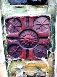 Close-up view of red leaf