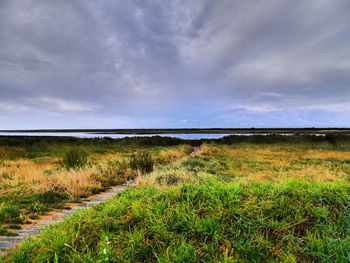 Scenic view of landscape against sky