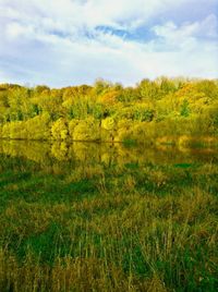 Scenic view of field against sky