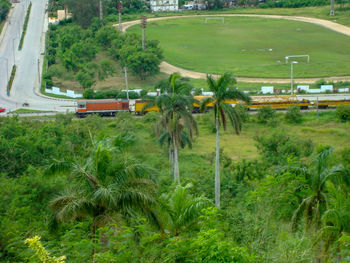 High angle view of agricultural field