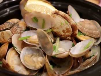 Close-up of seafood in plate