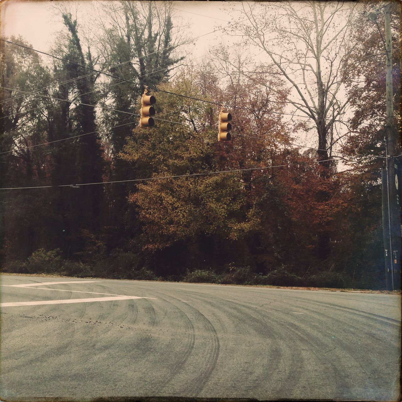 EMPTY ROAD WITH TREES IN BACKGROUND