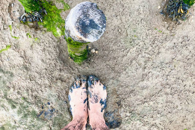 Low section of man standing on rock