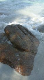 High angle view of sea shore