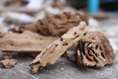 Close-up of cookies on table