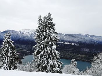 Frozen trees on mountain against sky