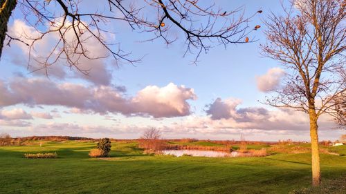 Scenic view of field against sky