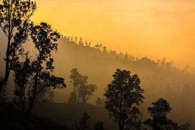 Silhouette trees on landscape against sky during sunset