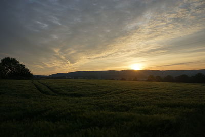 Scenic view of field against sky during sunset