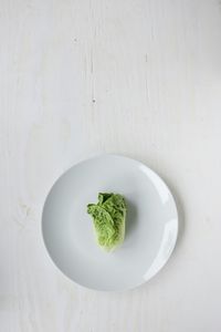 Directly above shot of lettuce in plate on table