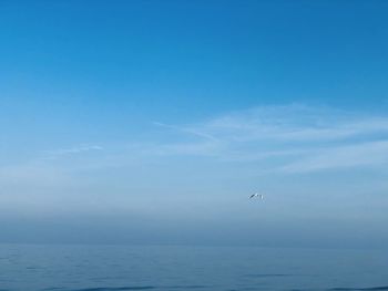 Seagull flying over sea against sky