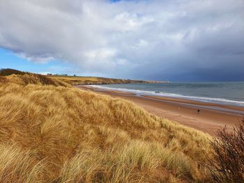 Scenic view of beach against sky