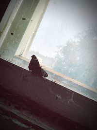 Close-up of man against window