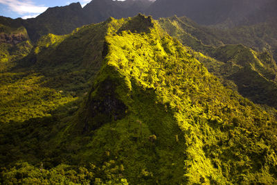 Scenic view of trees and mountains against sky