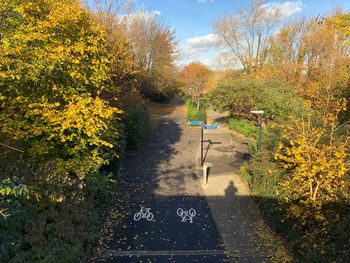 Man in autumn leaves