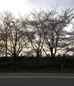 Woman on road amidst bare trees against sky