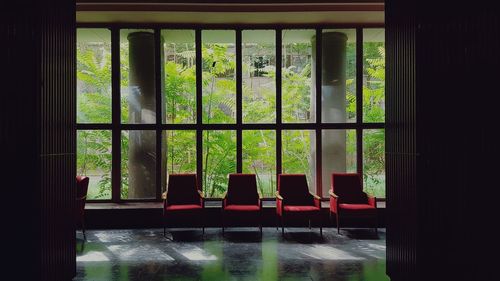 Trees seen through window at home