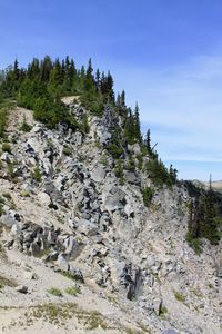 Scenic view of landscape against clear sky