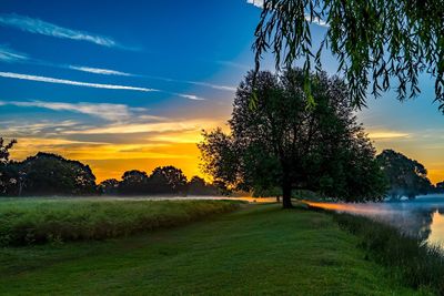 Trees on field against sky during sunset