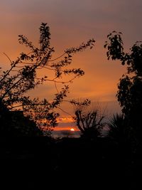 Low angle view of silhouette trees against romantic sky at sunset