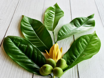 High angle view of green leaves on table