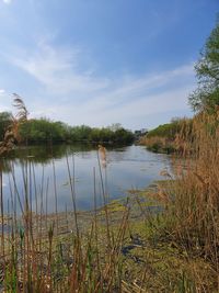 Scenic view of lake against sky