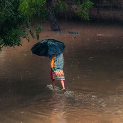 Rear view of woman with umbrella in lake