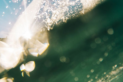 Close-up of illuminated christmas tree against sky