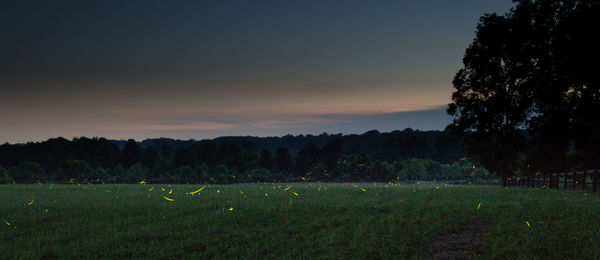 Scenic view of field against sky during sunset