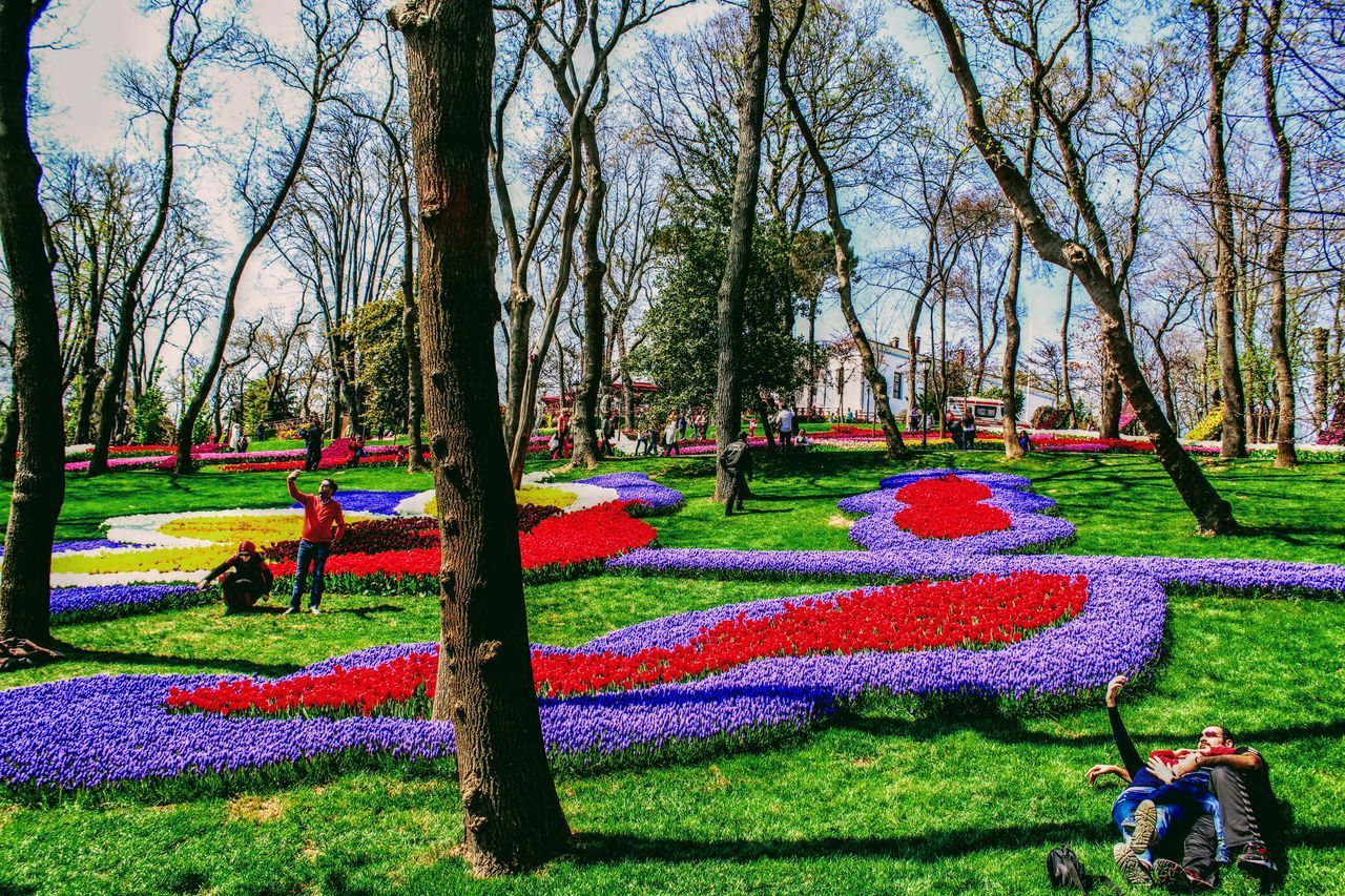 SCENIC VIEW OF PARK