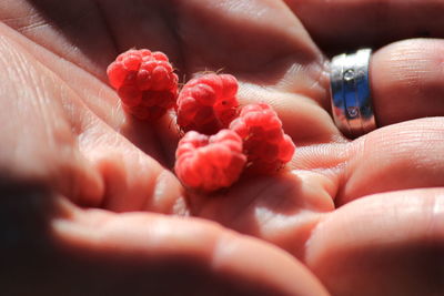 Close-up of hand with raspberries