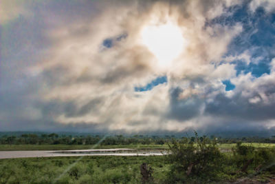 Scenic view of field against sky