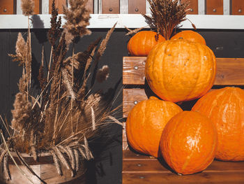 Close-up of pumpkins for sale at market stall