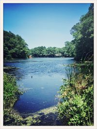 Scenic view of lake against clear blue sky