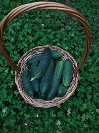 High angle view of vegetables in basket