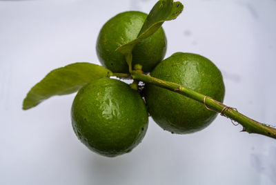 Close-up of fruit against white background